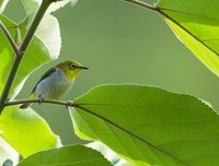 六一儿童节杂感