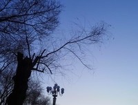 人间一趟经典读后感10篇