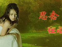 情感的优美句子
