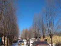 雪中悍刀看子实国优美的句子