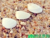 有关云烟归的句子