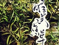 昭奚旧草的句子