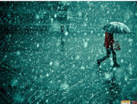 雨的句子