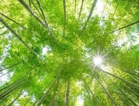 关于“每天的意思”这个话题
