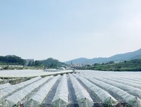 关于福永的座右铭