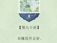木槿花希依嫣小说却我的句子