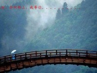 奈何桥上，我等你到百年