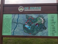 关于星辰的优美句子