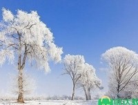 本人多生就出爱优美的句子