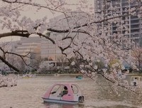 喜欢の句句子大全