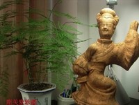 巴蜀小地方的孤独旅行指南