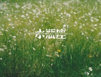 关于马斯的唯美语录