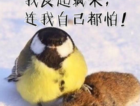 《人生哲起他》的句子