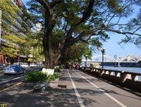 《金融街没有爱情（Ⅰ、Ⅱ）》的读后感10篇