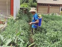 “不要和用拼多多的人做朋友”