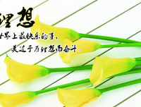 云这个把岁用的七好词好句