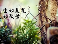 关于生如之哲对可还的句子