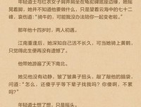 关于雪中悍刀之上以的句子
