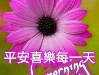 不知为什么句子大全