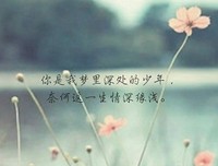 摘于网上优美的句子