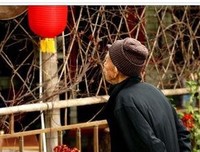 关于细细品味的优美句子