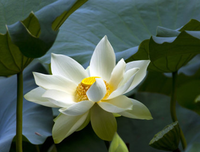  人生，今生的苦，是为了修来生！ 