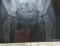 关于 不良 的语句
