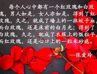 白玫的名言_关于白玫的名言