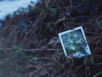 小笑格言警句