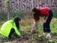 通过育人实现自我价值