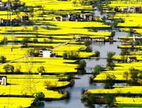 东风的句子