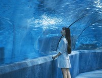 《蓝色大海的传说》经典句子