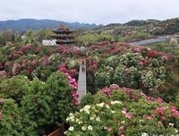 人若善良，必有后福！
