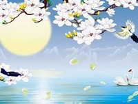 中秋月