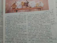关于起东的格言