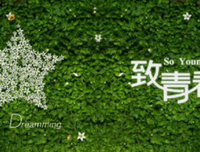 关于随笔的句子