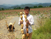能没生能没如主十莲种许却可枝经典名句