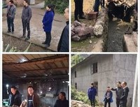 沉舟所言优美的句子