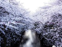 雾山笑横詹的句子
