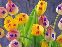 这一生，懂我的人太少