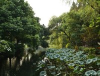 秋分时节， 愿你 欢乐 不断， 开心无限！