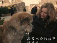 《使女的故事 第三季》经典观后感集