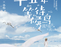 《个是时五年等待候鸟》经典语录