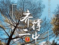 不负韶华好词好句