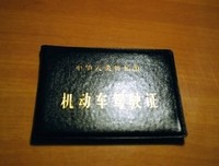 关于领的句子
