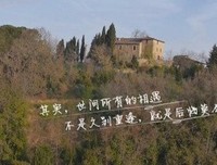 有关www的句子