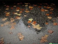 雨们有在下。优美的句子
