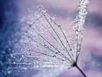 花开只为等你来