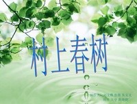 且听风吟经典名句