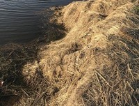 关于搁浅、、、的优美句子